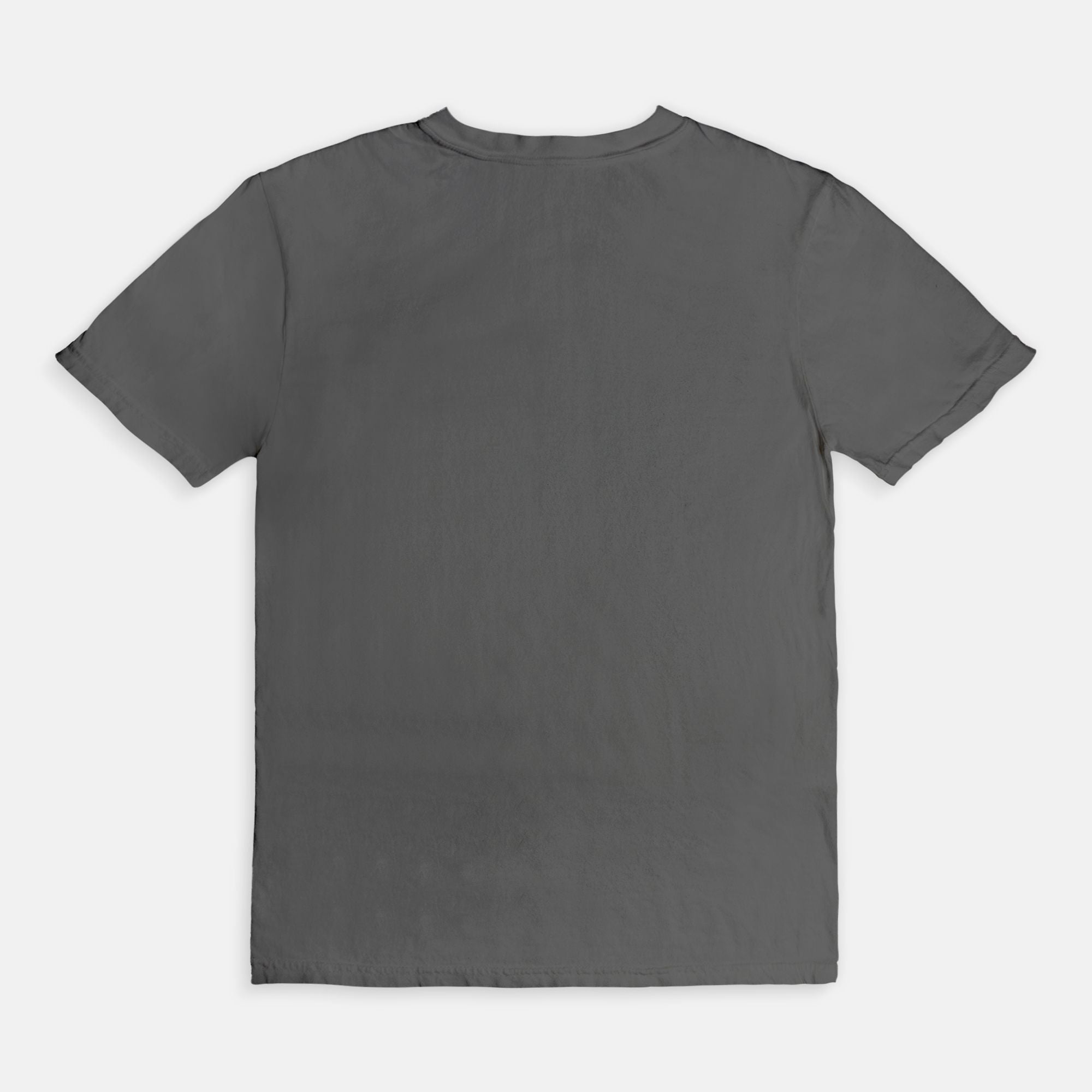 Don't Agonize Organize Graphic Tee - UntamedEgo LLC.