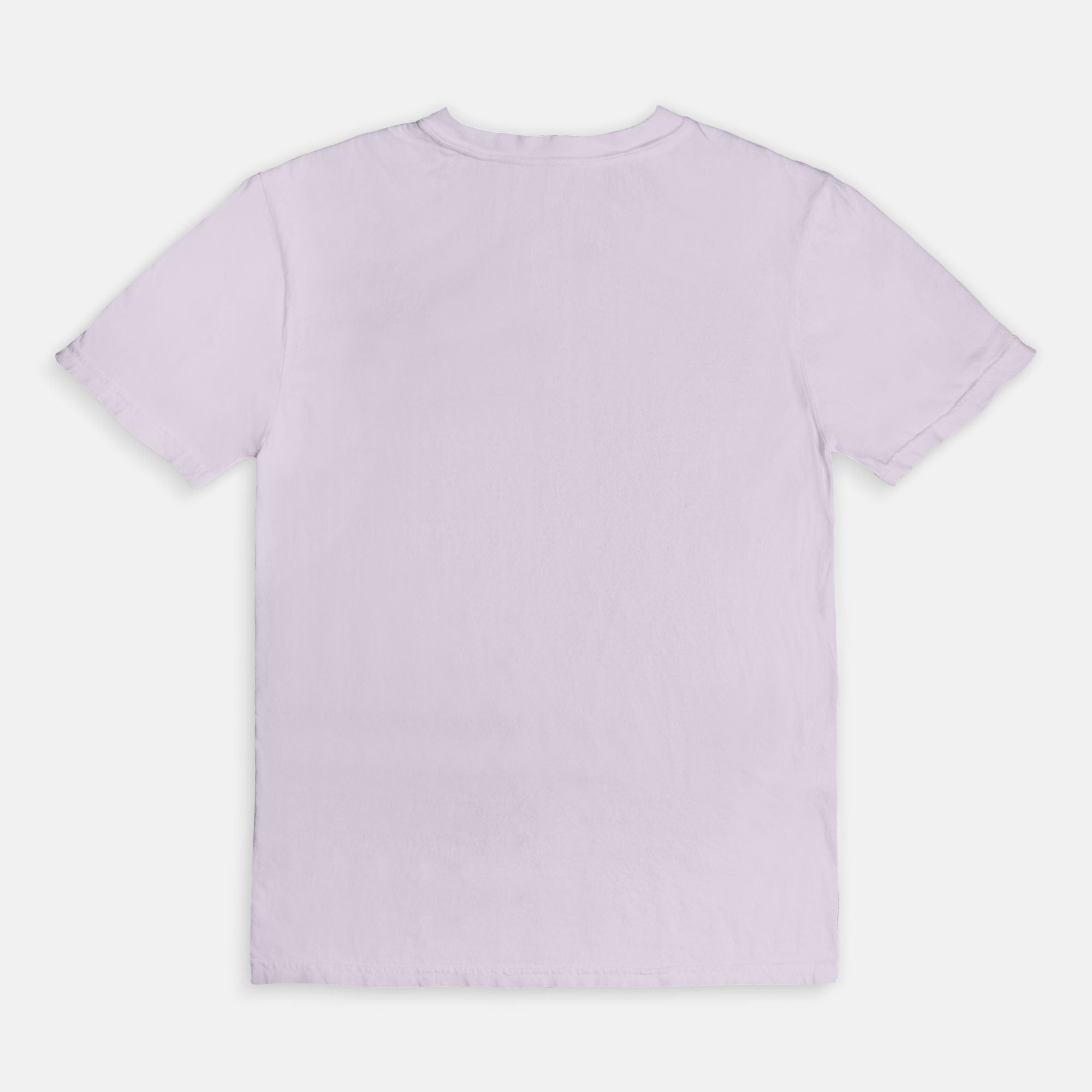Hop On Bestie Tee - UntamedEgo LLC.