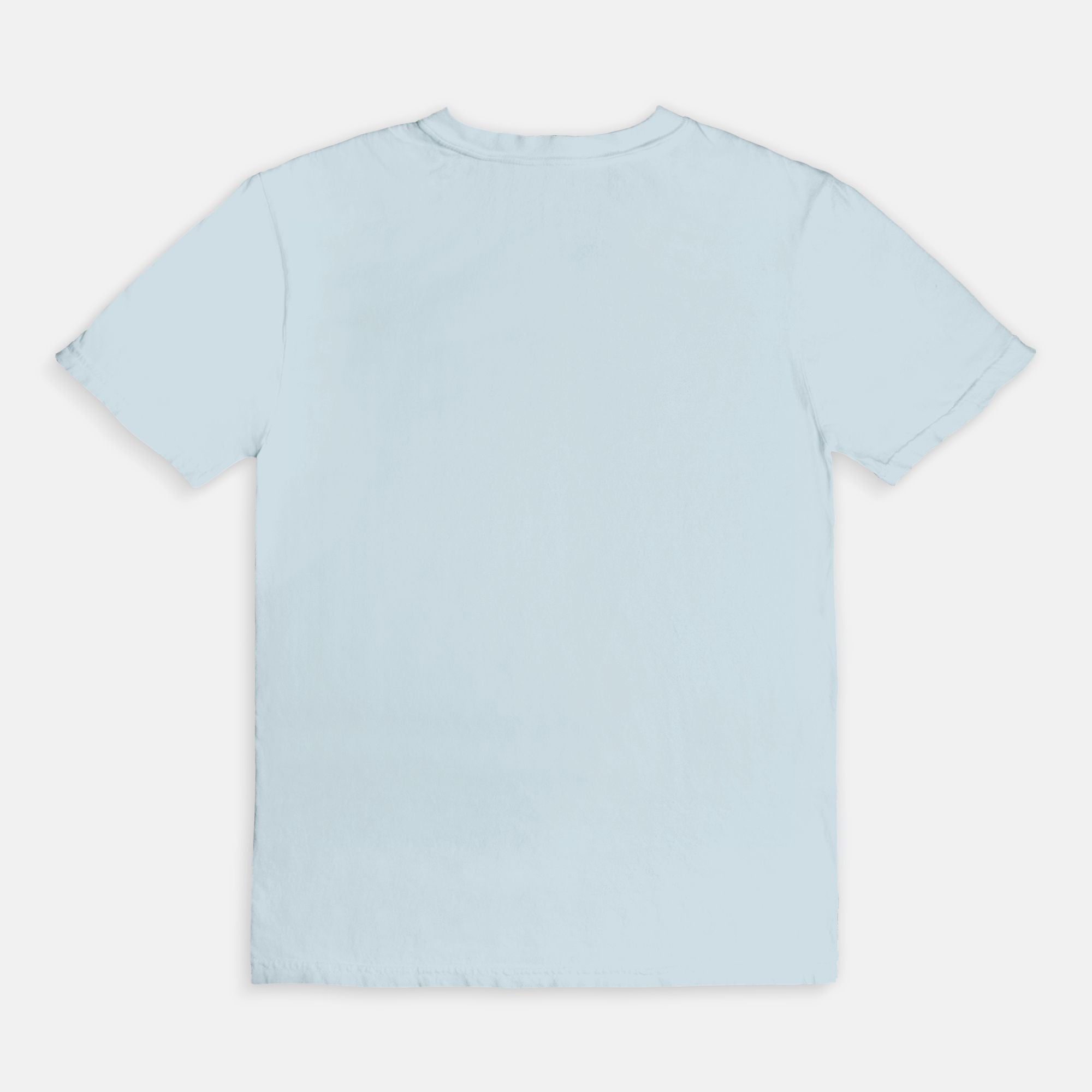 Hop On Bestie Tee - UntamedEgo LLC.