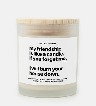 My Friendship Is Like A Candle Frosted Glass Jar Candle