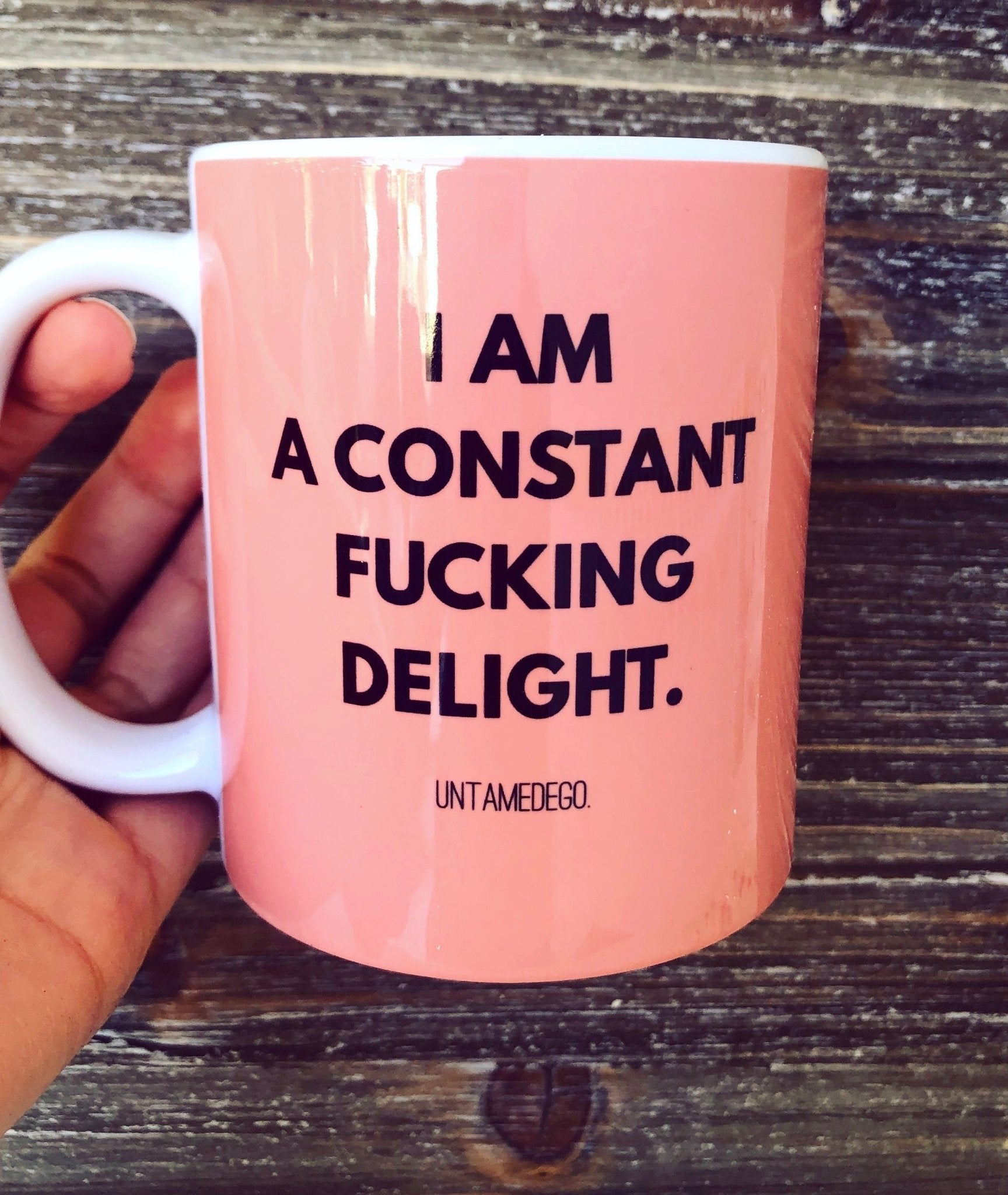 I Am A Constant F Delight Mug 11oz. - UntamedEgo LLC.