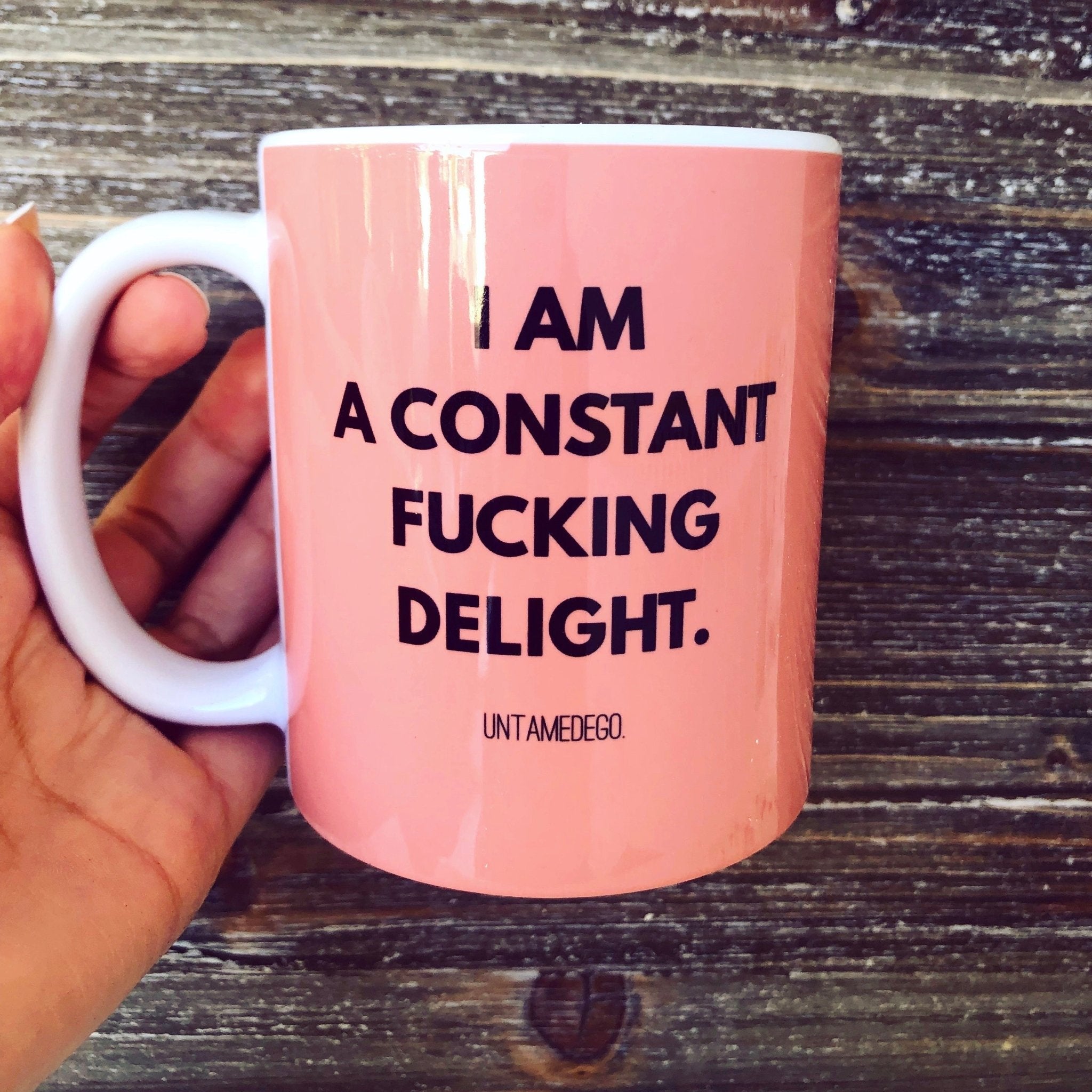 I Am A Constant F Delight Mug 11oz. - UntamedEgo LLC.