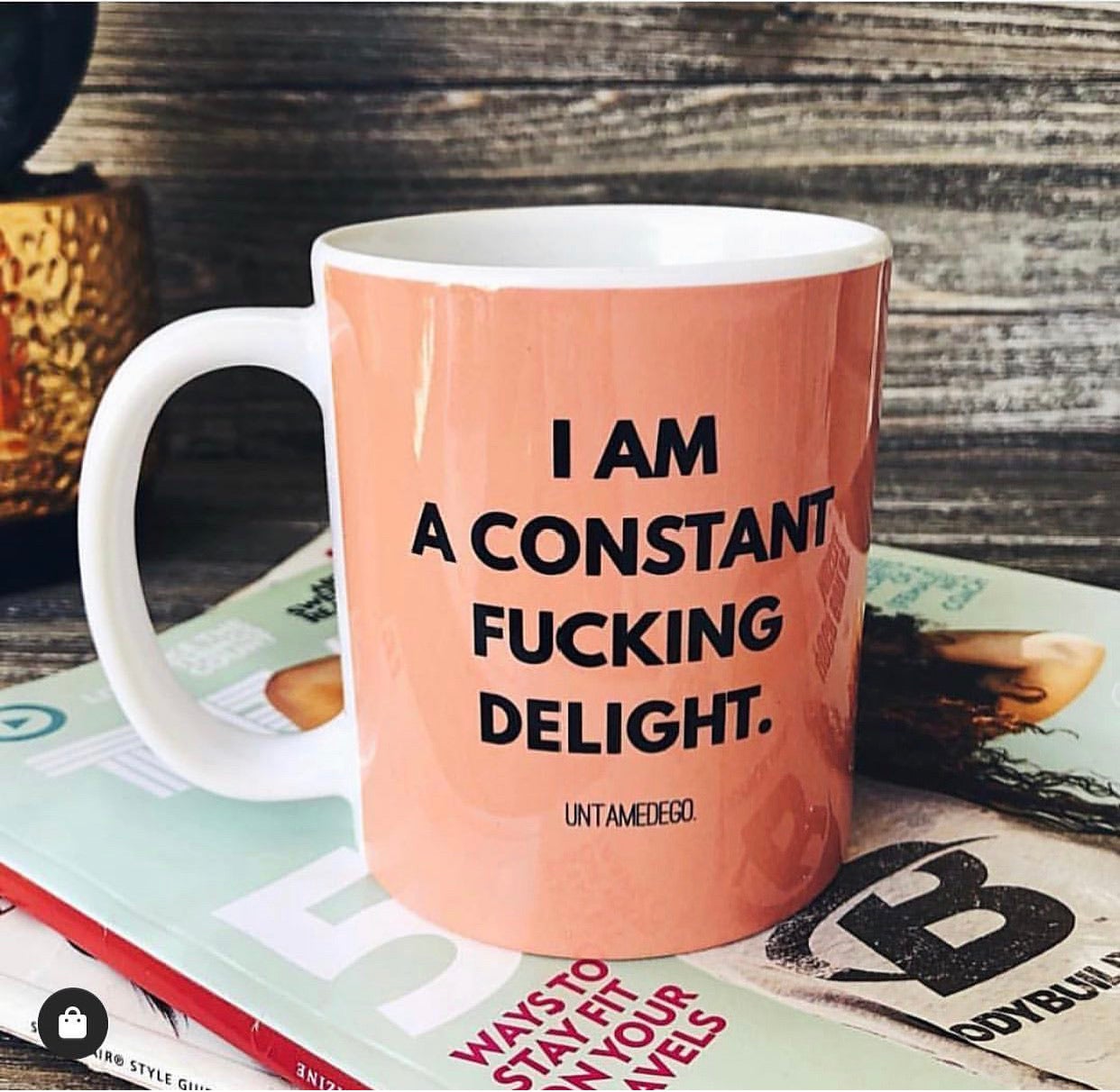 I Am A Constant F Delight Mug 11oz. - UntamedEgo LLC.