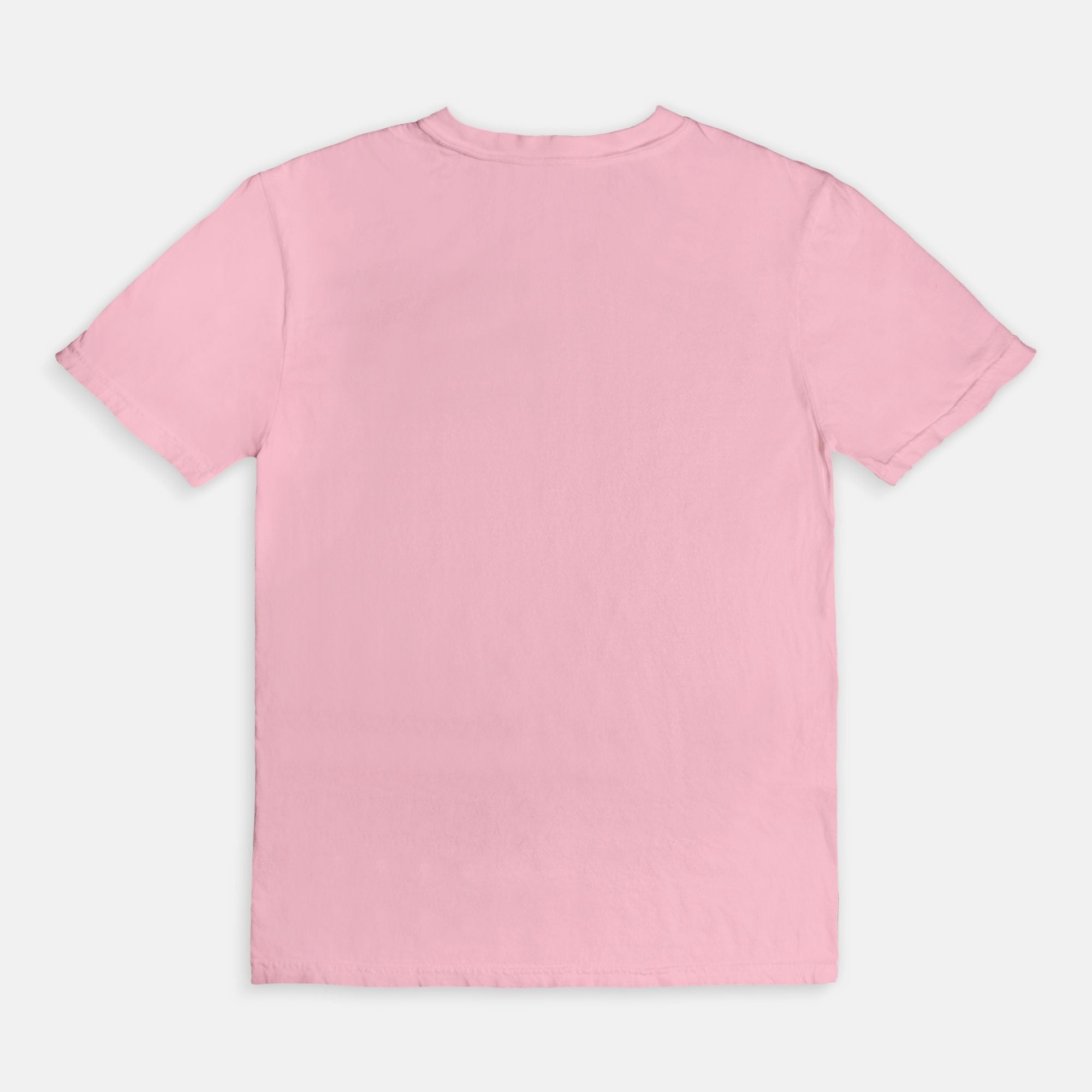 I'm A Bad Bitch But I Have Tummy Problems Tee - UntamedEgo LLC.