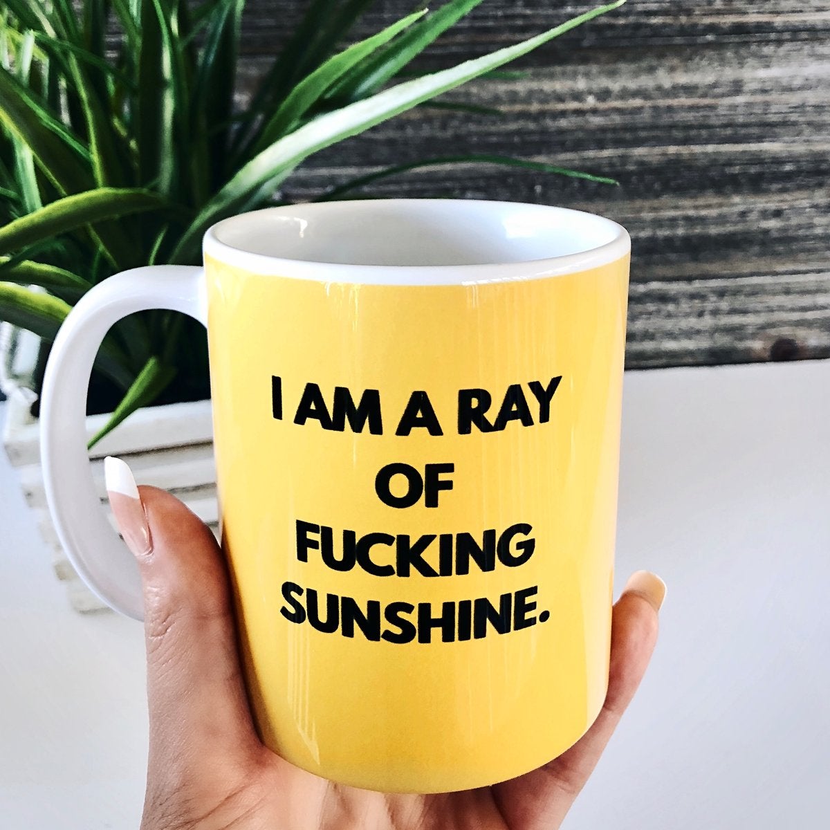 I'm A Ray Of Fucking Sunshine Mug 11oz. - UntamedEgo LLC.