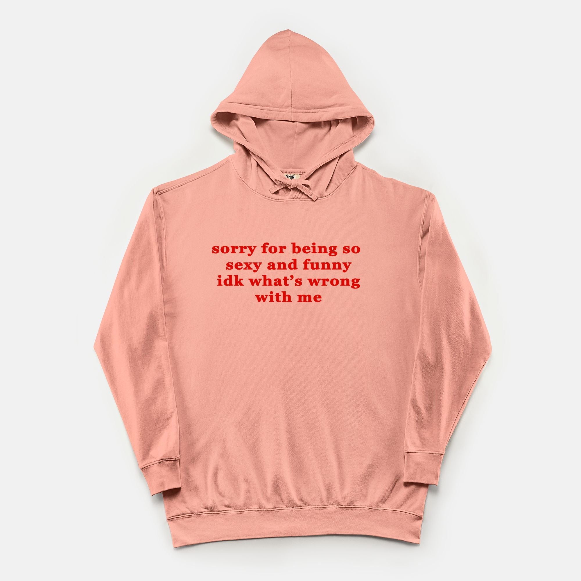 Sorry For Being So Sexy And Funny Idk What's Wrong With Me Vintage Wash Hoodie - UntamedEgo LLC.