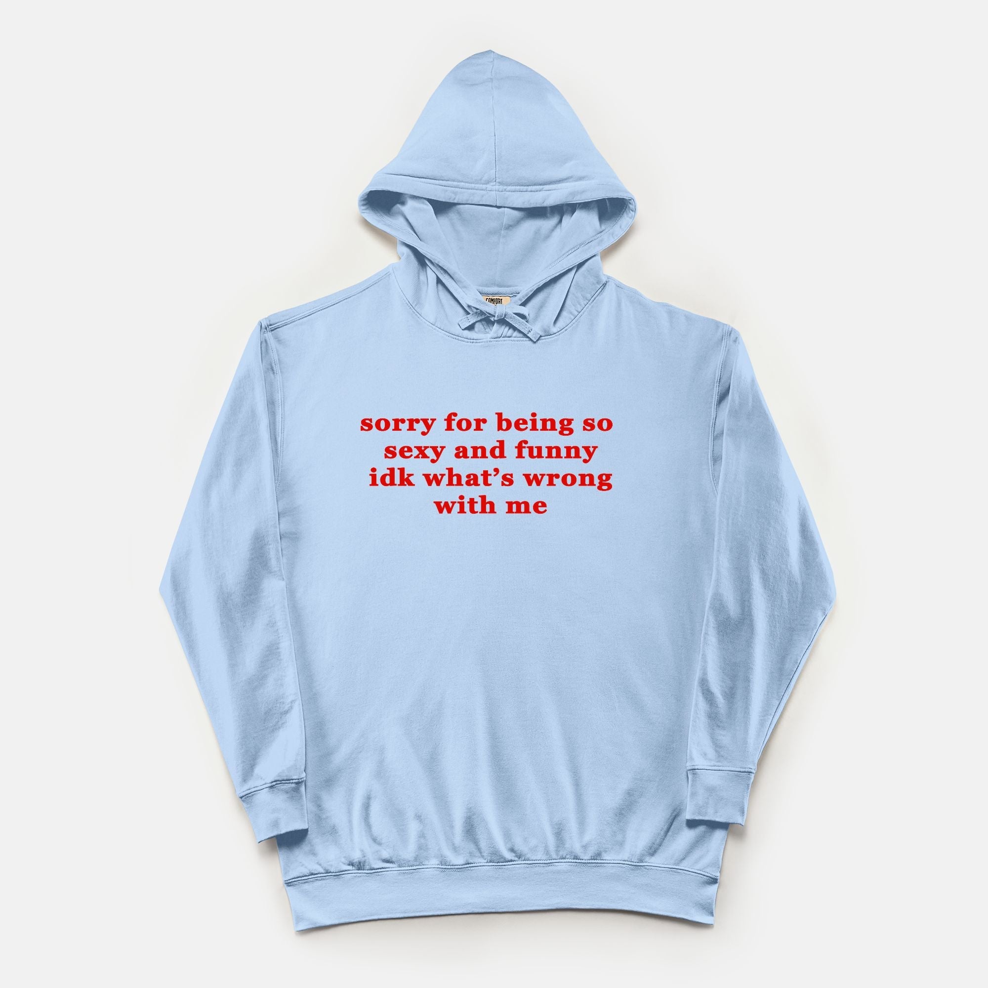 Sorry For Being So Sexy And Funny Idk What's Wrong With Me Vintage Wash Hoodie - UntamedEgo LLC.