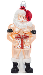 Stiff Package Ornament - UntamedEgo LLC.