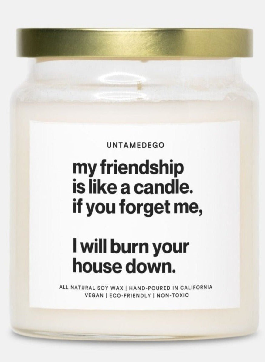 My Friendship Is Like A Candle Hand Poured Candle - UntamedEgo LLC.