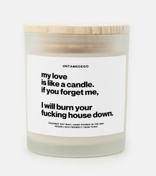 My Love Is Like A Candle If You Forget Me I Will Burn Your Fucking House Down Frosted Glass Jar Candle - UntamedEgo LLC.