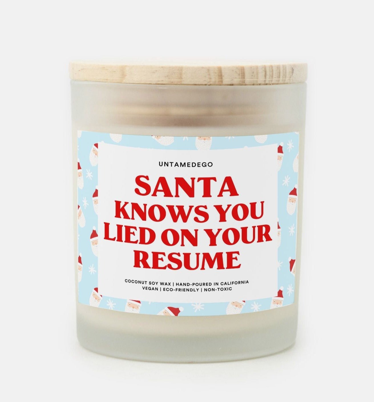 Santa Knows You Lied on Your Resume Frosted Glass Jar Candle - UntamedEgo LLC.